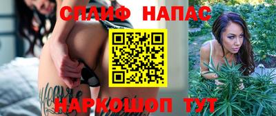 шишки Канаш