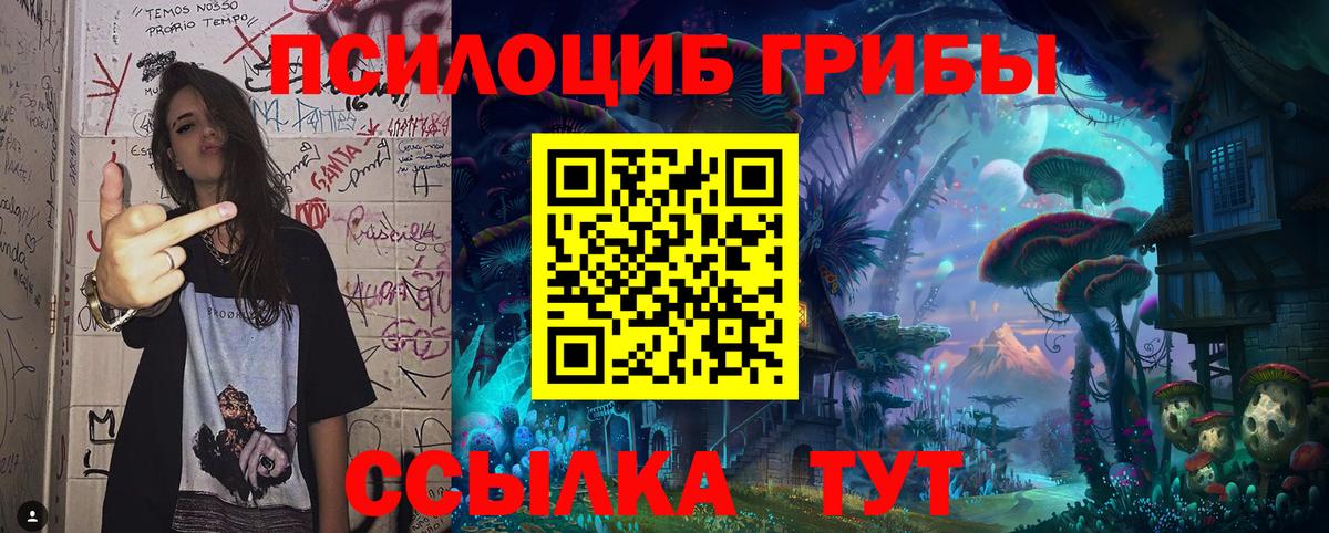 Галлюциногенные грибы прущие грибы Котовск