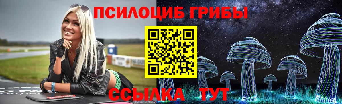 Котовск  Псилоцибиновые грибы ЛСД  Галлюциногенные грибы прущие грибы  Вход с VPN 